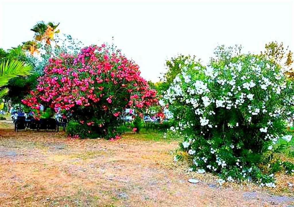 Aslihan Motel Anamur Eksteriør bilde